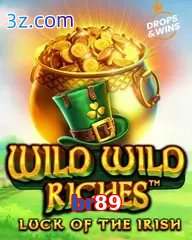 br89  jogo irlandês de cassino online